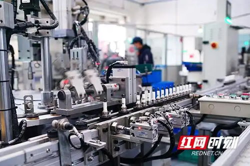 紅觀株洲丨株洲中小企業數字化轉型 從試點破局到生態重構的進階之路